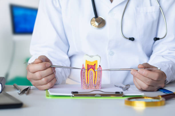 Best Emergency Root Canal Treatment in Gleason, TN